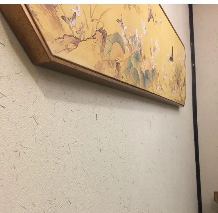 环保墙面选硅藻泥肌理效果——艺术·硅藻泥，简直美炸了！(图7)