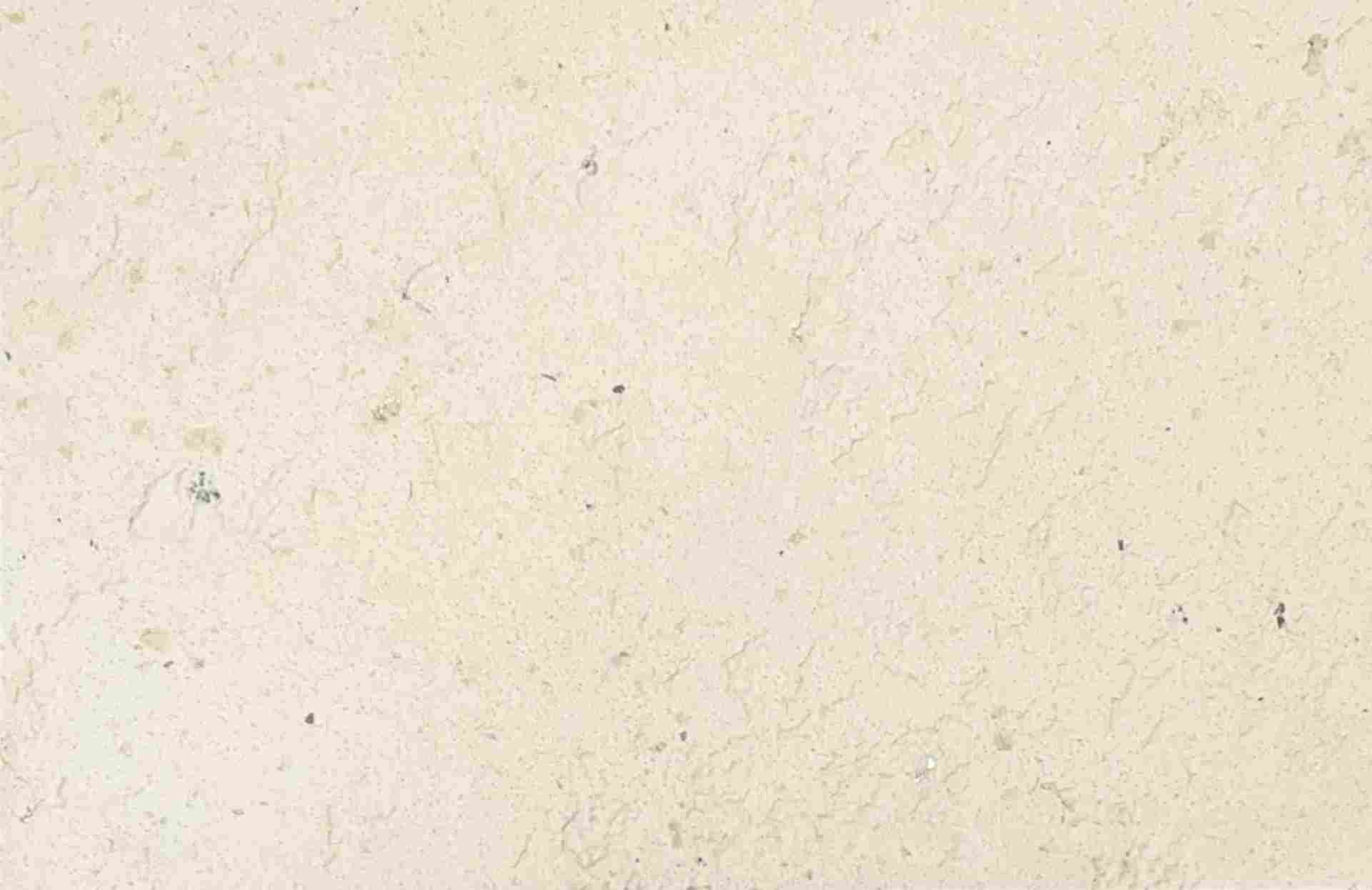 莱姆石艺术涂料:让家焕发自然之美(图3) 莱姆石艺术涂料:让家焕发自然之美(图3)