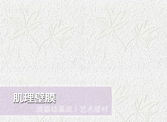 肌理壁膜(图2)