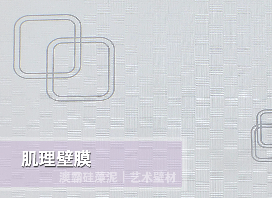 肌理壁膜(图4)