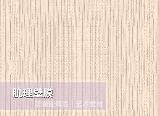 肌理壁膜(图6)